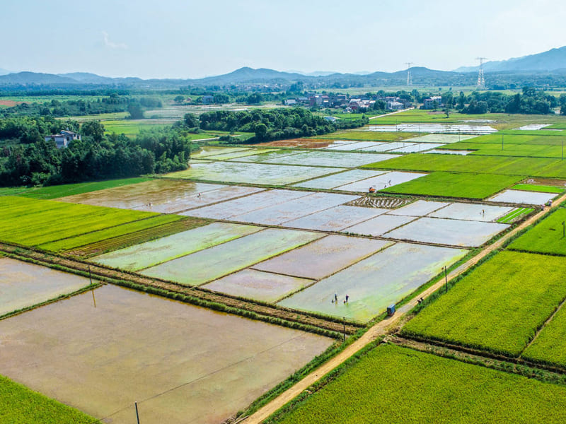 恒美科技助力高標(biāo)準(zhǔn)農(nóng)田建設(shè)，推進農(nóng)業(yè)現(xiàn)代化