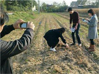  土壤檢測(cè)分析儀器